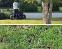 Aeration