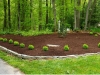 harford county bel air mulching natural hardwood final