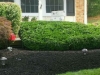 bel air pruning hedges full service